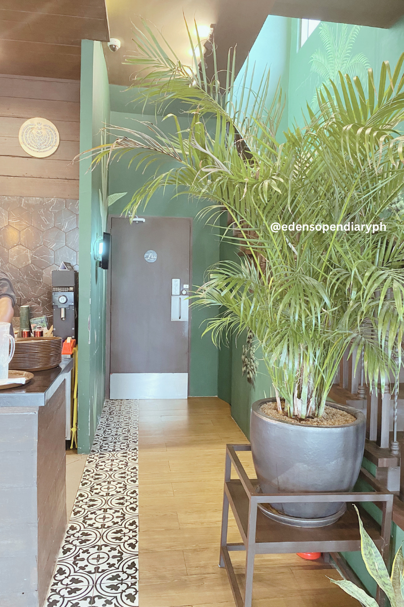 Dear Joe greenery-lined corridor